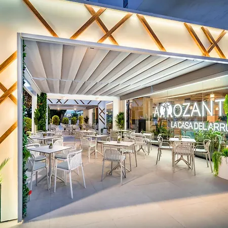 Отель Occidental Puerto Banus 4*