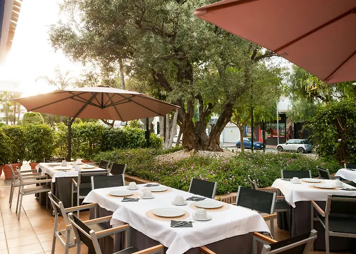 Отель Occidental Puerto Banus 4*