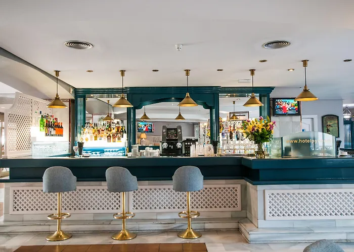 Hotel Occidental Puerto Banus 4*