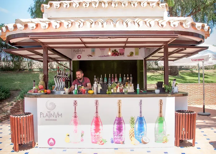 Occidental Puerto Banus 4*