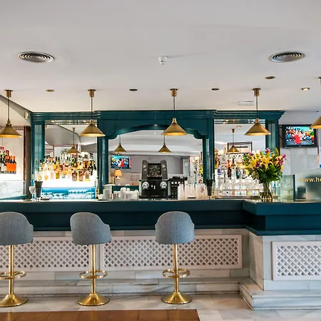 Hotel Occidental Puerto Banus 4*