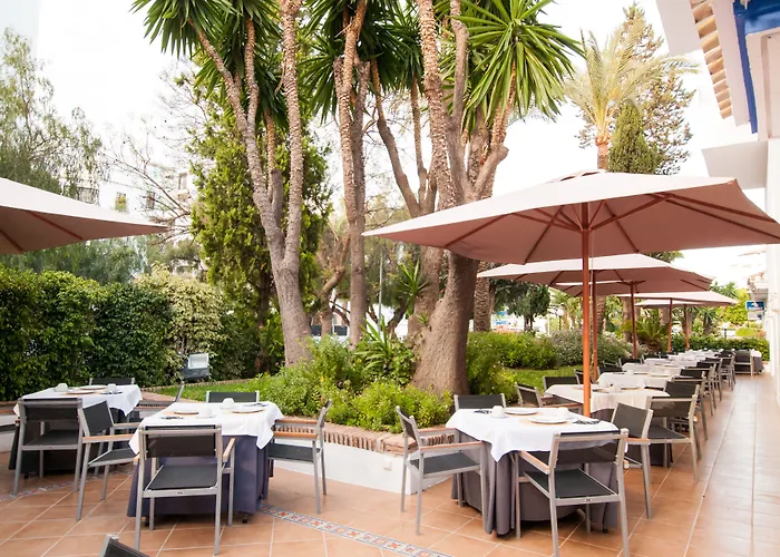 Occidental Puerto Banus 4* מארבלה